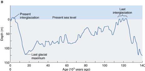 Figure 18.29 Sea-Level Cycles (2) Movements of land and sea level may occur simultaneously, in either the same or opposite directions.