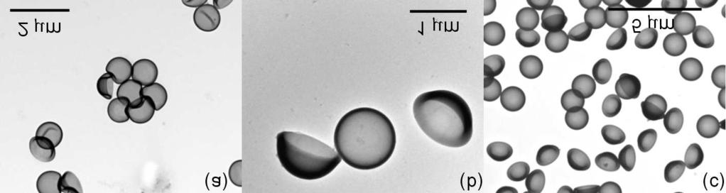 20 2 Preparation of hollow spheres, microcapsules and microballoons Figure 2.5: TEM micrographs of microcapsules: (a) Sample Sc2, R = 440 nm, d = 130 nm, δ = 4.
