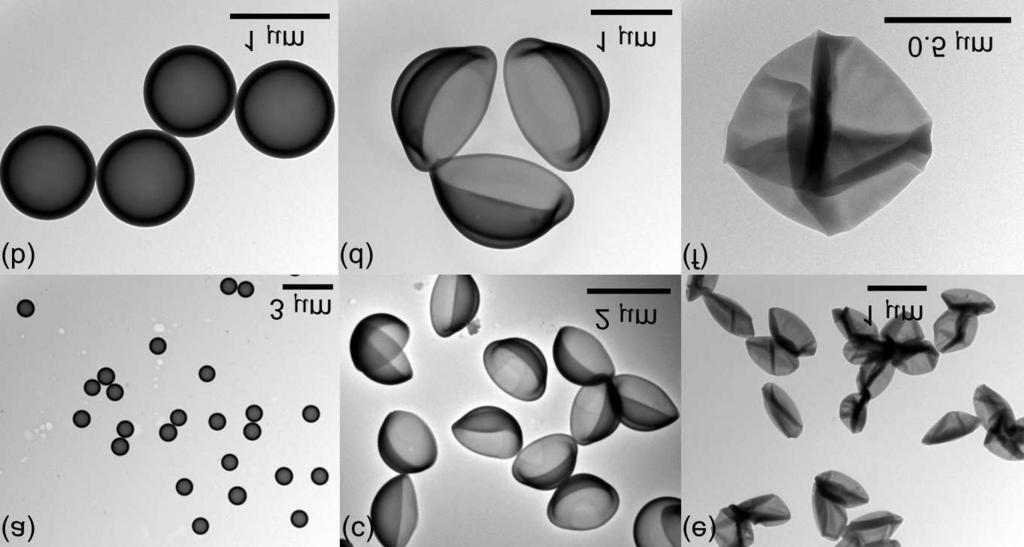 16 2 Preparation of hollow spheres, microcapsules and microballoons Figure 2.1: TEM micrographs of hollow particles:(a) microspheres (sample Ss1, core radius 420 nm, shell thickness 150 nm, 7.