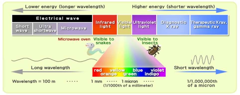 Frequency is inversely proportional to wavelength.