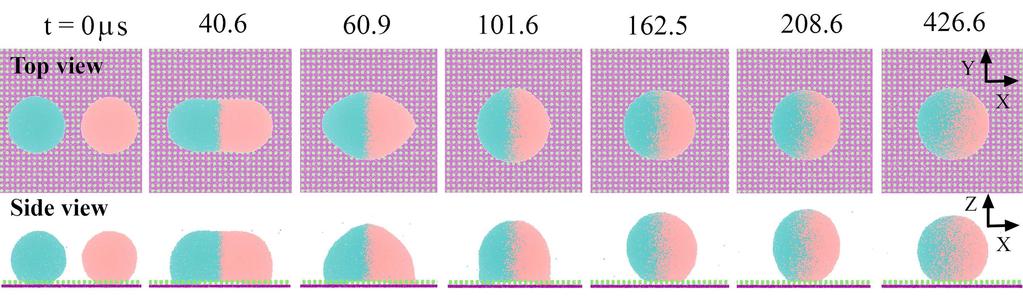 Figure 9: Snapshots of coalescence dynamics of two droplets in the Wenzel state, showing a Wenzel-to- Cassie wetting transition powered by the surface energy released upon coalescence of droplets