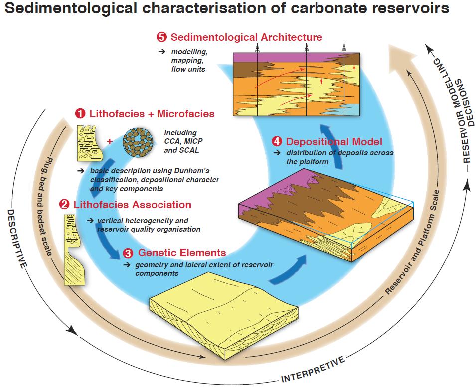 Core Sedimentology - Technical Value Core sedimentology aims to answer the key questions: What is depositional make-up within a studied reservoir?