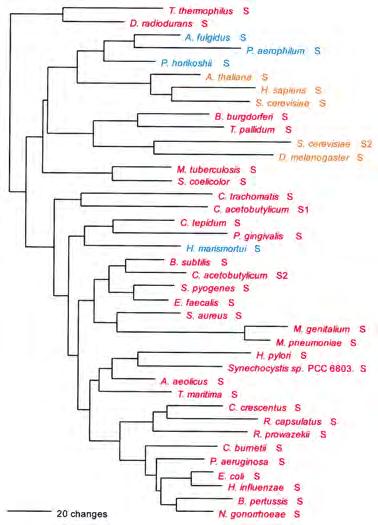 Phylogenetic Distributions Full Canonical Basal Canonical Non-canonical E A A B B increasing inter-domain