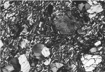 Trachytic texture in which microphenocrysts of plagioclase are aligned due to flow. Note flow around phenocryst (P).
