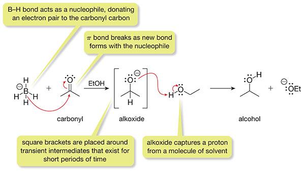 Mechanism for hydride addition via BH 4 :
