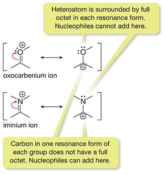 Oxocarbenium and iminium ions: