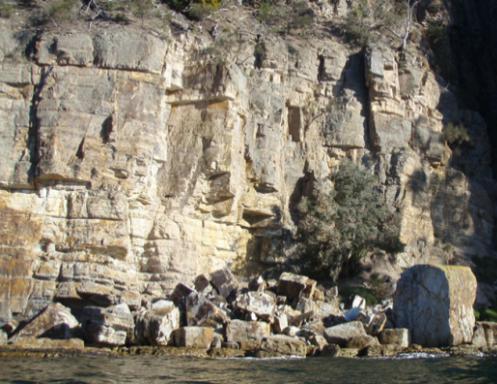 Coastal substrate types in Tasmania However