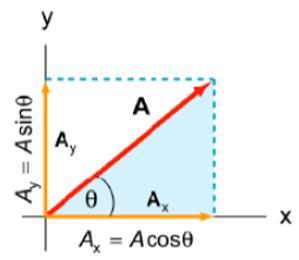1.9 Properties of Vector How to Break Vector Horizontal Component Vertical