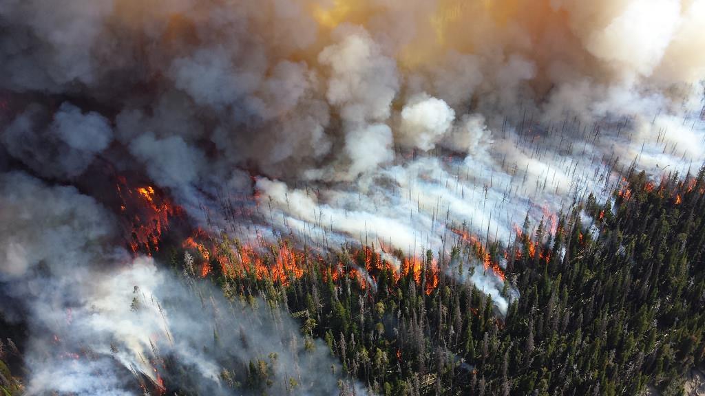 Wildfires increase the potential for flooding, mudslides, and landslides.
