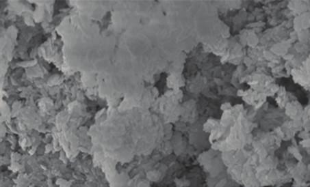2: Selected SEM micrographs for the as-prepared samples.