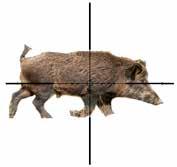 Ranging with the HHR reticle The HHR reticle is designed to estimate the range of adult feral hogs based on the average overall length of the hog.