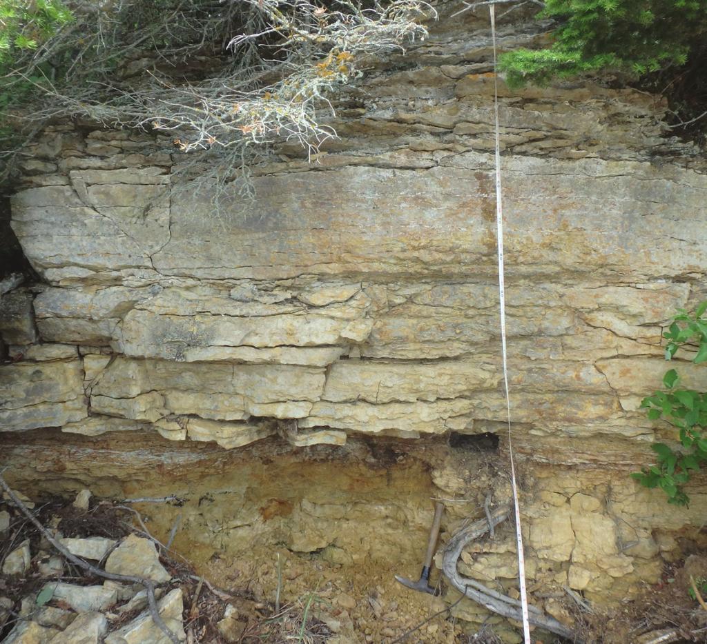 Figure GS-17-3: Section of the Winnipeg and Red River formations at Little Grindstone Point in Hecla/Grindstone Provincial Park. The upper contact of the Winnipeg Formation is visible.