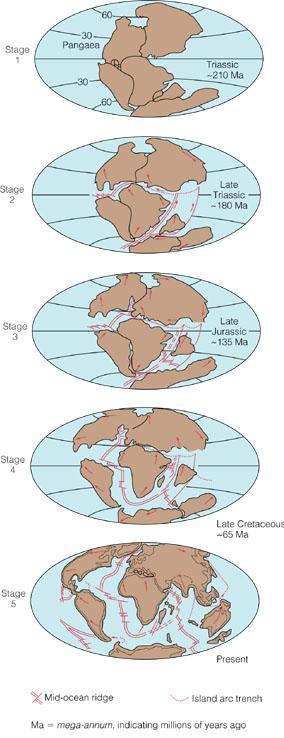 World s lithospheric plates Breakup of Pangaea