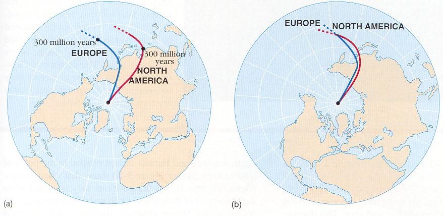 Divergence increased with age of rocks Apparent Polar Wander Paths Magnetic poles have never been