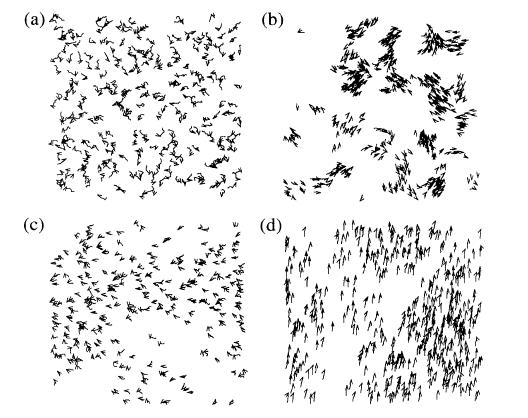 correlated movements between particles. It is this phase transition to ordered movement on a macroscopic scale that this paper is interested in identifying. Figure 1.