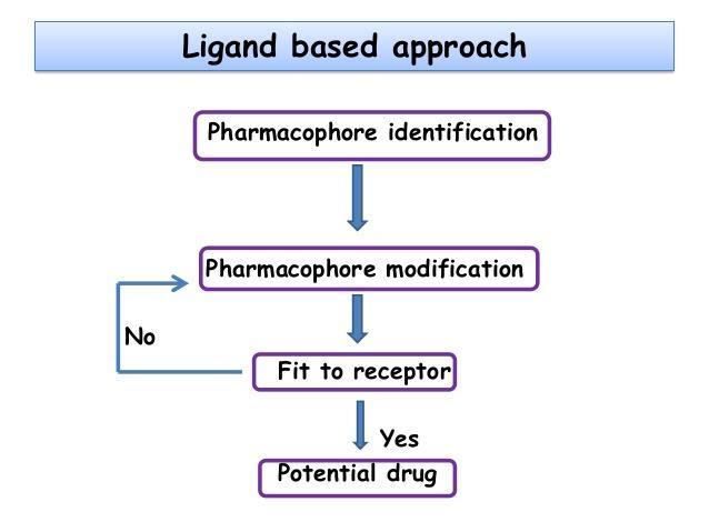 Ligand-based strategy When information about the target structure is lacking, the ligand-based method is using the information for the known inhibitors of the target receptor.