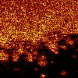 region of sample, b) negative ion image of 66m/z showing PU region of sample, c)