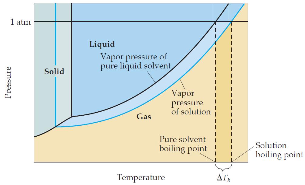 Boiling Point Elevation Nonvolatile solute-solvent interactions also cause solutions to have higher boiling points than the pure solvent.