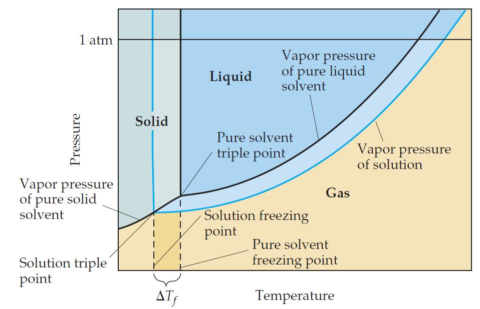 Freezing Point Depression Nonvolatile solute-solvent interactions also cause solutions to have lower freezing points than the pure solvent. e.g., Antifreeze being added to an automobile radiator.