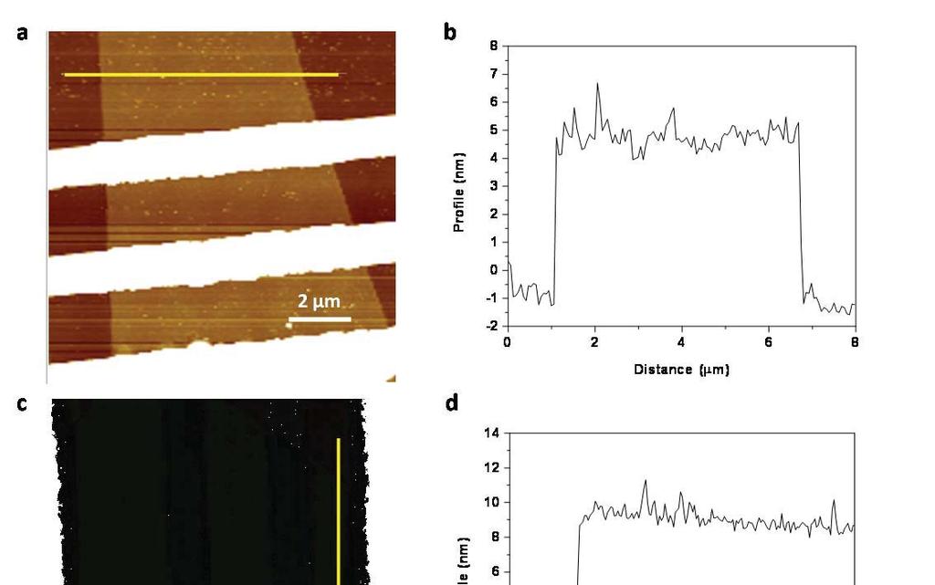 Atomic force microscopy study on devices under test: Figure S9.
