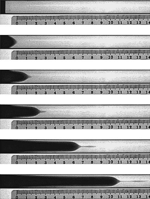 36 E. Lajeunesse, J. Martin, N. Rakotomalala, D. Salin and Y.. Yortsos 4.499 9.500 4.50 9.502 37.025 54.509 Figure 3. Snapshots of miscible displacement in a vertical tube for M = 57 and U =0.