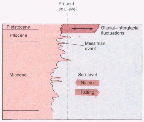 Plio-Pleistocene Period: Our World Glaciers