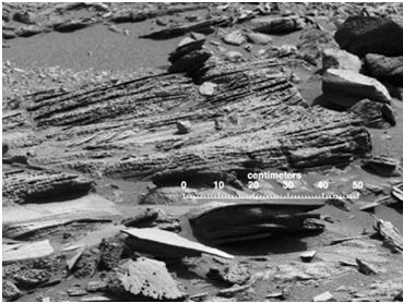 Layering is typical of sedimentary rocks.