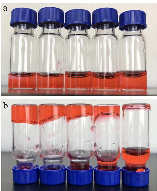 (a) Images of five vials containing sodium alginate, with the addition of calcium ions of different concentrations (from left to right: 2.5, 2.0, 1.5, 1.0 and 0.