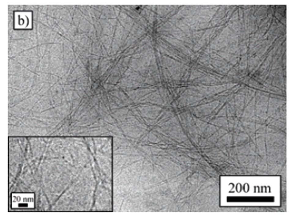 Nanofibrillar cellulose: AFM vs.