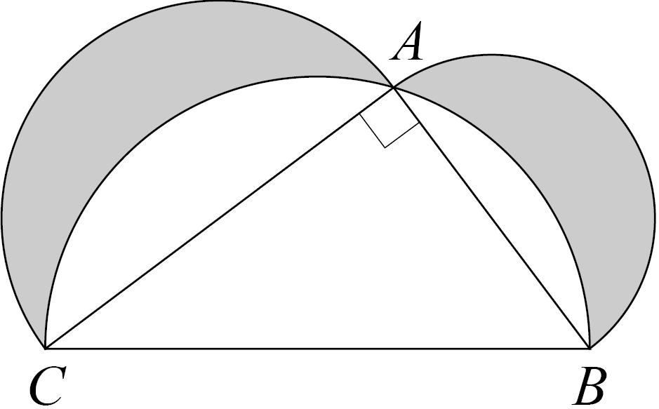 E1 Triangle ABC has a right-angle at A.