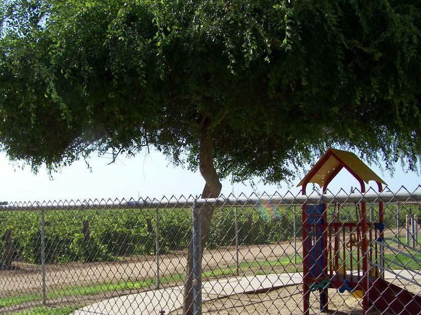 THE NOTIFICATIONS THAT TAKE PLACE FOR SCHOOLS AND DAYCARES ARE FOR PESTICIDE USE ON THE SCHOOL GROUNDS ONLY!