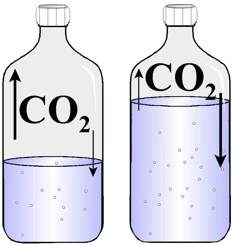 Consider the two soda bottles to the right: o CO 2 molecules are