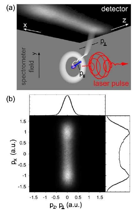 Lateral momentum distribution in strong-field ionization Measured