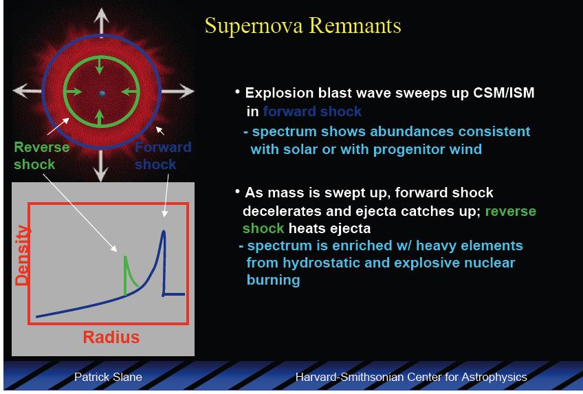 Forward shock into the ISM- is a 'contact discontinuity'- outside of this the ISM does not yet 'know' about the SN blast wave Reverse shock- information about the interaction