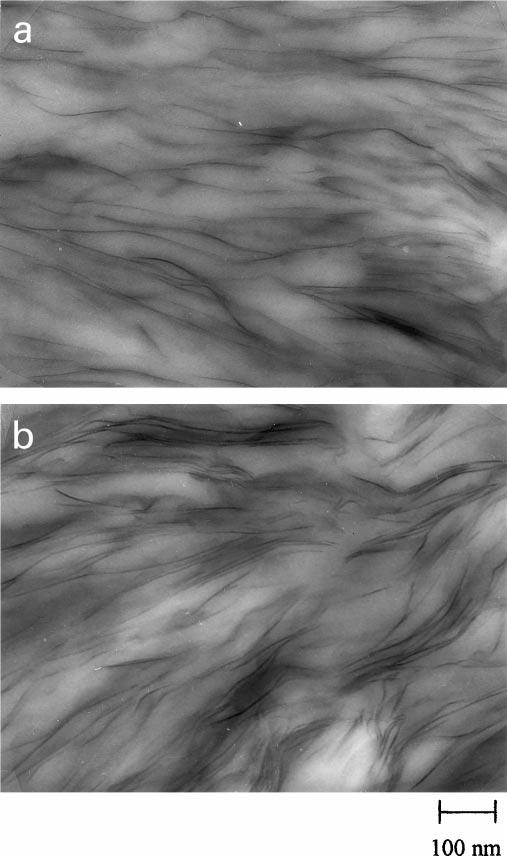 812 X. Fu, S. Qutubuddin / Polymer 42 (2001) 807 813 Fig. 8. DMA scans of pure polystyrene and polystyrene clay nanocomposites. Fig. 8 shows DMA results of polystyrene and PS VDAC MMT nanocomposites at different clay loadings.