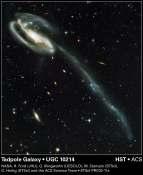 can account for the Hubble classification sequence: Spiral galaxies grow from the merger of small galaxies with a larger