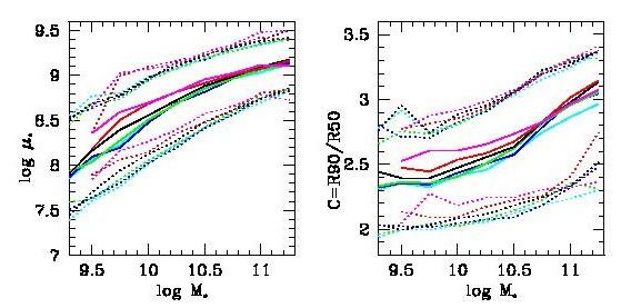 Correlations in galaxies properties from SDSS bulge dominated mass and galaxy