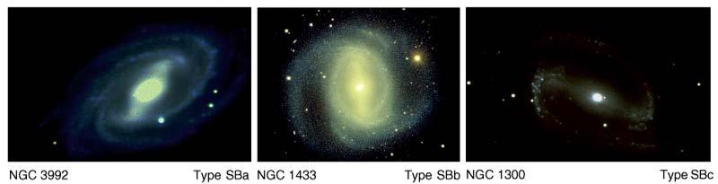 Barred Spiral Galaxies Contain a linear feature of nearly uniform brightness