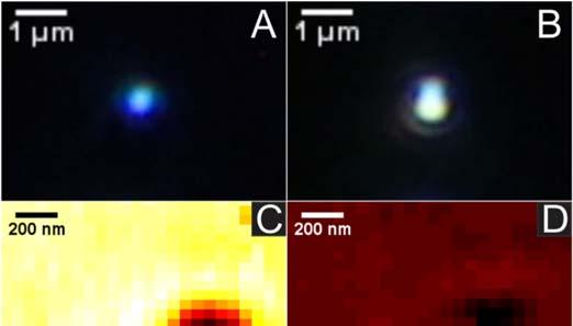 Figure S3. Dark field images of a) 60 nm Ag NP; b) Ag-Au dimer at d=200 nm with Ag NP on top.