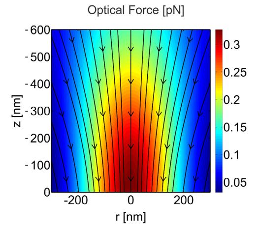 Optical force calculations Gradient and scattering forces were calculated following the work by Agayan et al 3., 1, 2, 2, 2 The polarizability was calculated using the Mie theory.