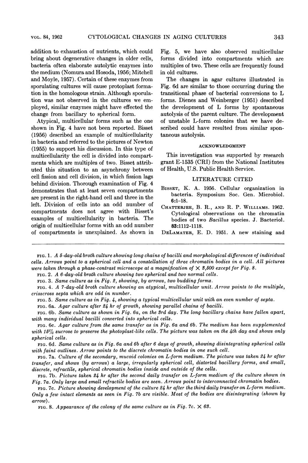 VOL. 84, 1962 CYTOLOGICAL CHANGES IN AGING CULTURES 343 addition to exhaustion of nutrients, which could bring about degenerative changes in older cells, bacteria often elaborate autolytic enzymes