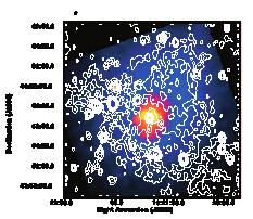 Radio Halos / Relics Abell 2319 with Radio Halo Rosat X-ray image (colors) Radio image (contours) Feretti et al.