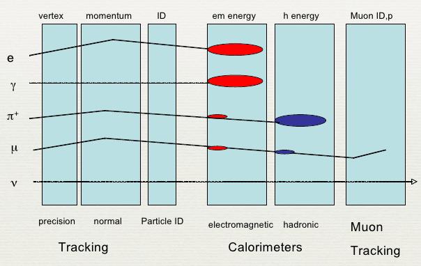 electrons from hadrons) calorimeter Identification of muons as the only charged particles penetrating the hadron calorimeter calorimeter Identify weakly interacting