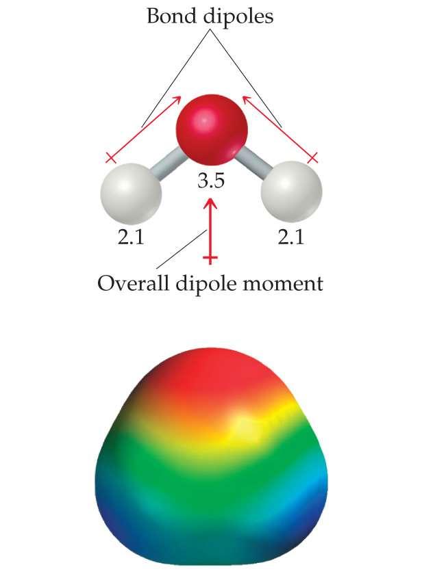 Polarity of Molecules By adding the individual bond dipoles, one can determine the overall dipole moment for the molecule.