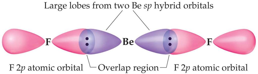 One of the lobes is larger and more rounded as is the s orbital.