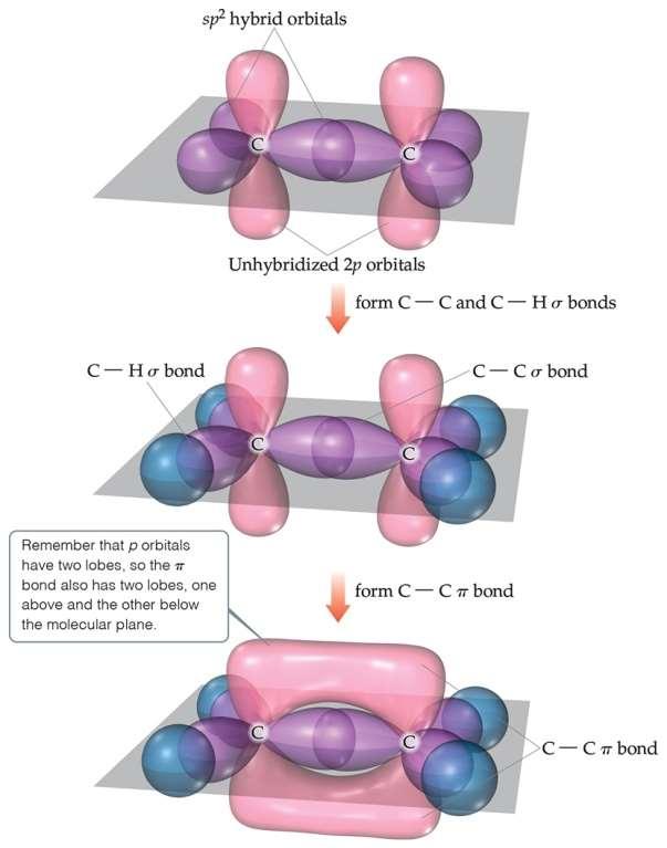 Multiple Bonds In ethylene an sp 2 orbital on carbon overlaps in fashion with the