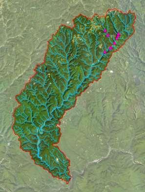 Kettle Creek case study Buffer gaps Kettle Creek HUC 10 157,689 acres NHD = 7,800 gaps CC = 11,613 gaps