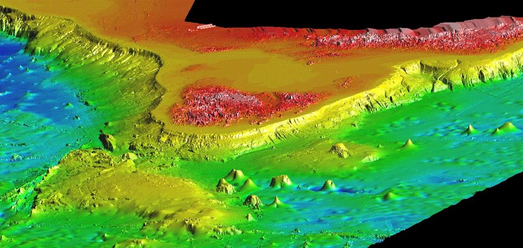 Seamounts and guyots Abyssal hills, seamounts and guyots Conical seamount Guyot Seamounts volcanic projections