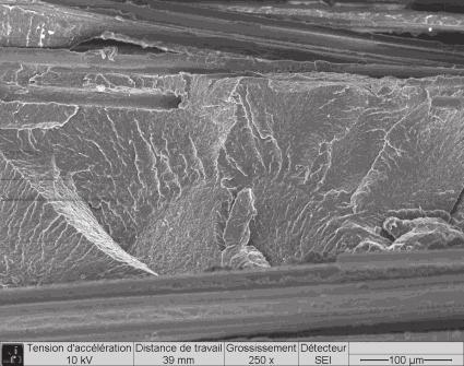 Microscopic Observations Post-mortem SEM observations have been carried out on the fracture surface of some metalized [(/9) 3 ] specimens