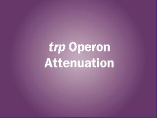 Attenuation in other operons! Operon Leader Sequence trp MKAIFVLKGWWRTS phea MKHIPFFFAFFFTFP his MTRVQFKHHHHHHHPD!